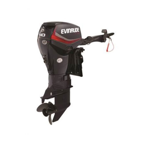 EVINRUDE 40 HP E40DGTL FOR SALE